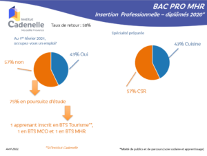 insertion professionnelle